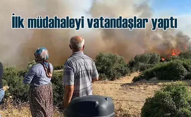 Çine