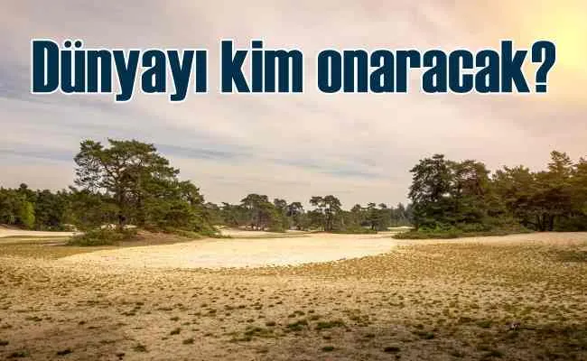 TEMA Vakfı | Biz doğayı onaracak nesiliz
