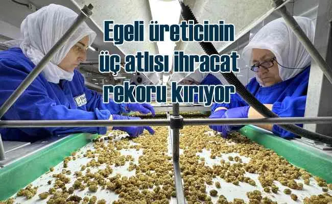 Ege