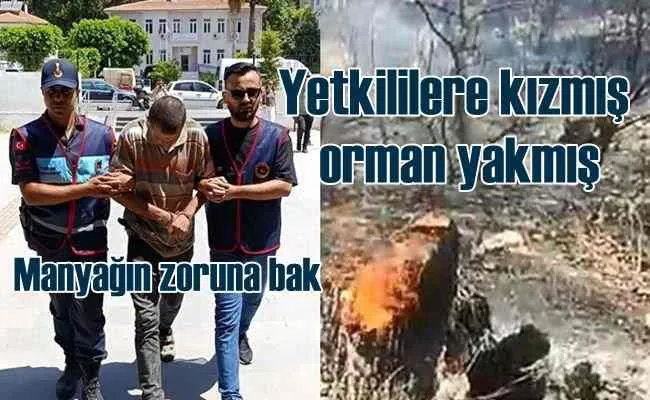 Orman kundakçısının mazereti yok artık dedirtti