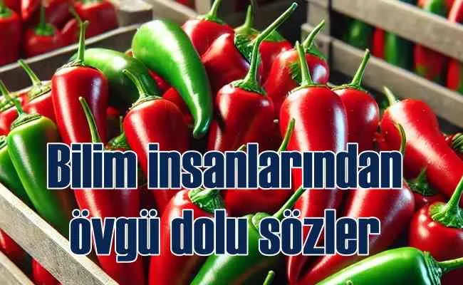 Acı biber için bilim insanlarından övgü dolu sözler