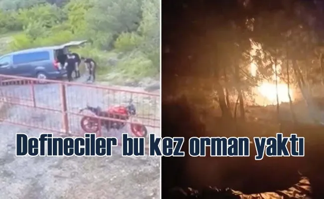 Defineciler, hazine uğruna ormanı ateşe verdi
