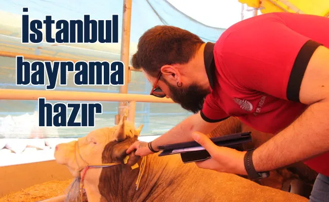 İstanbul Kurban Bayramı