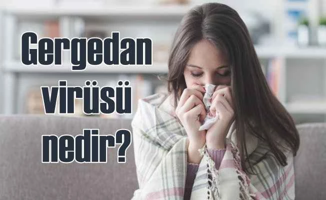 Gergedan virüsü nedir? Gergedan virüsü gerçek mi?