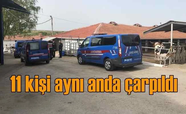 Koyun kırkan 11 işçi aynı anda elektrik akımına kapıldı