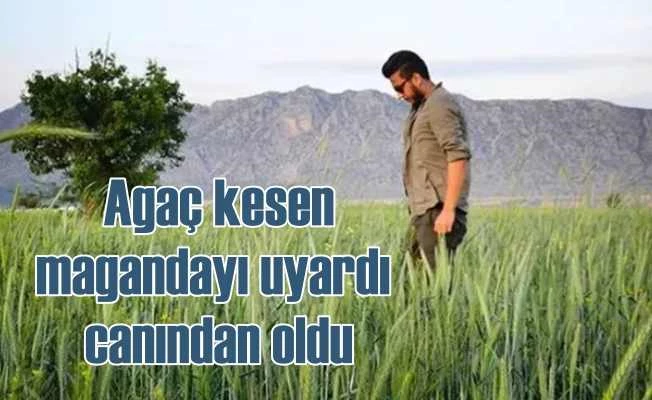 Ağaç keserken, kendisini uyaran kazı ekibine saldırdı
