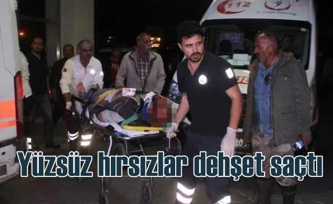 Yağmacılar 10 kişiyle dehşet saçtı