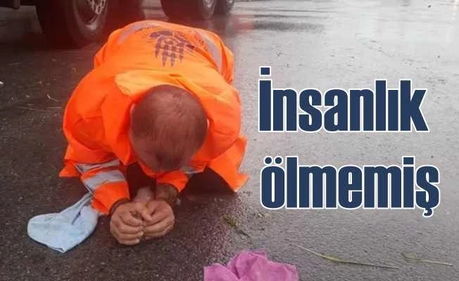 Sele kapılan yavru kediyi suni solunumla hayata döndürdü