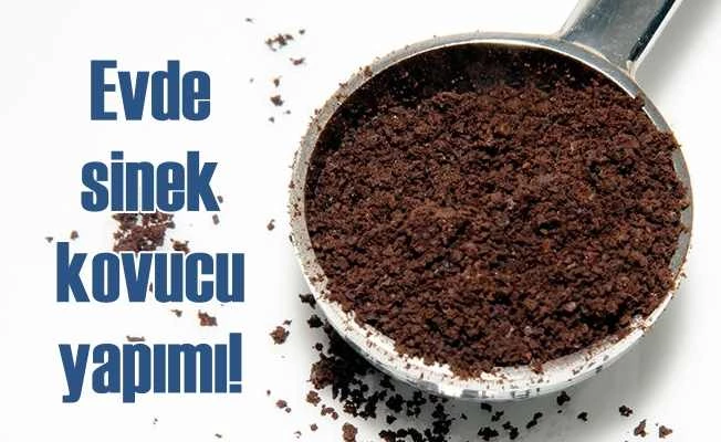 Evde sinek kovucu yapımı  | Evde sinek kovucu nasıl yapılır