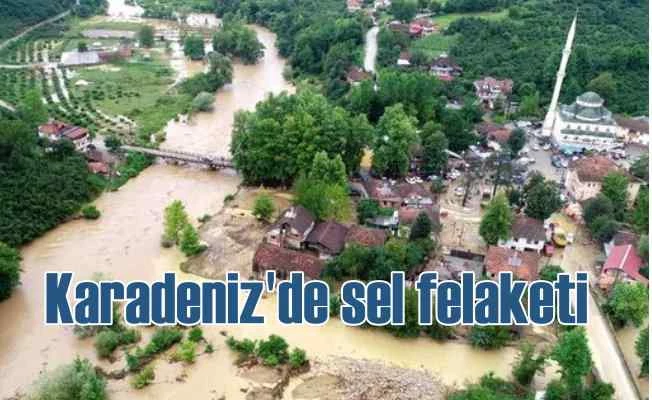 Sel suları Düzce, Eregli'yi bastı, hasar büyük