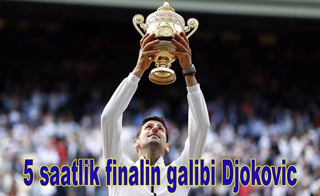 Tek erkeklerde şampiyon Djokovic,