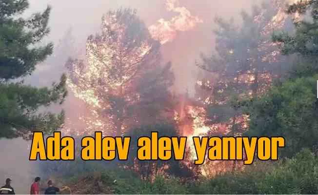 Ada alev alev yanıyor, ateş çemberi Kuşadası'ndan görülüyor, 