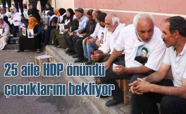 Çocukları kaçırılan ailelerin Diyarbakır eylemi büyüyor