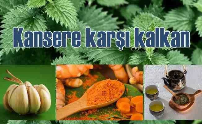 Kanseri durduran besinler, kanseri meydan okuyan yiyecekler