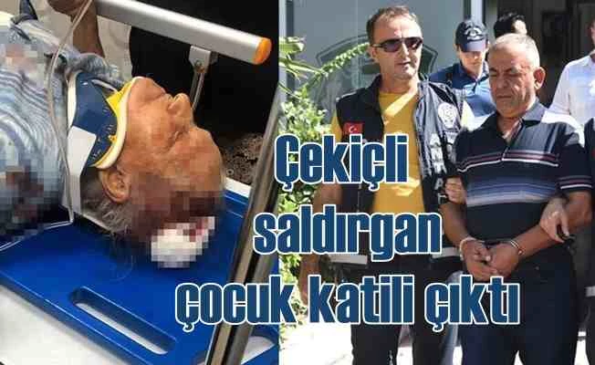 Yaşlı kadına çekiçle saldıran çocuk katili tecavüzcü çıktı