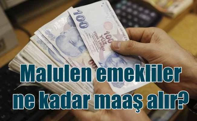 Hangi hastalıklara malulen emekli aylığı bağlanır?
