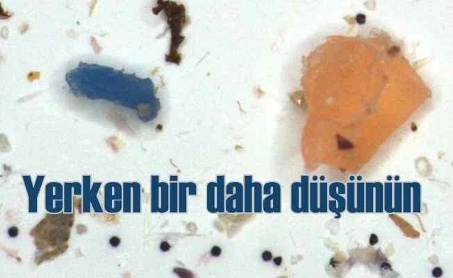 Midye, balık ve karidesler için zehir zemberek rapor