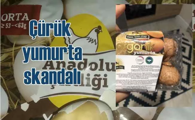 Şok market çürük yumurta skandalı