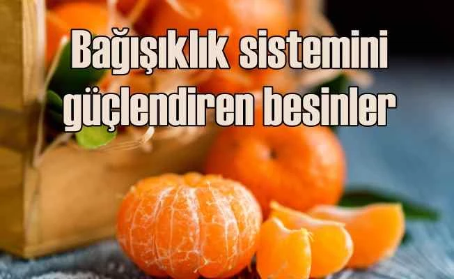 Bağışıklık sistemini güçlendiren besinler