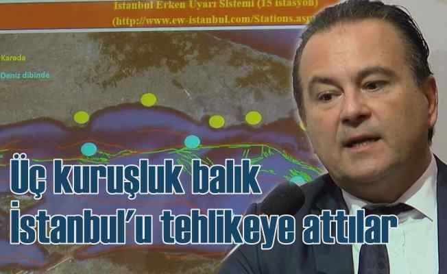 Marmara fayını dinleyen kabloları balıkçı magandalar parçaladı