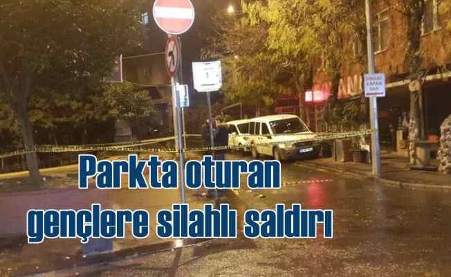 Parkta oturan gençlere silahlı saldırı