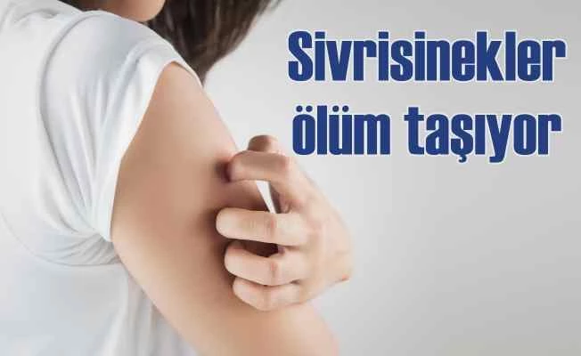 Sivri sinekle gelen ölümcül hastalık | Batı Nil Virüsü