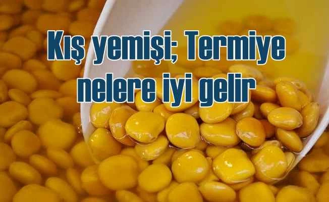 Termiye nerede yetişir, termiye nelere iyi gelir