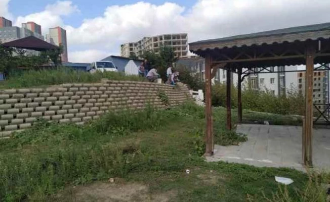 Esenyurt'ta kemirgen sorununa hızlı müdahale 