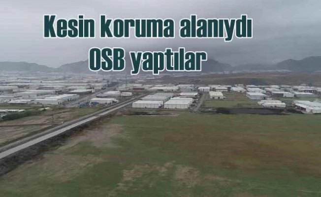 Kesin korunması gereken hassas alanı sanayi bölgesi yapmışlar
