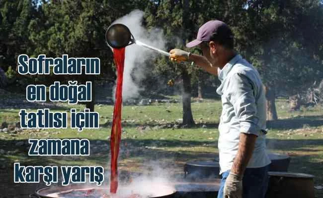 Andız pekmezi nelere iyi gelir | Andız pekmezi nedir?