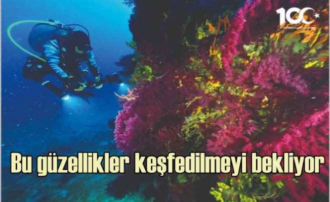 Tarih, Doğa, Deniz, Gastronomi bir arada | Dört Mevsim Ayvalık
