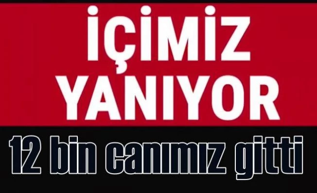 Deprem bölgesinde son durum | Can kaybı 12 bin 391'e yükseldi