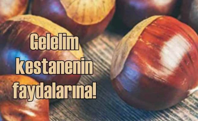 Kestanenin faydaları nelerdir?