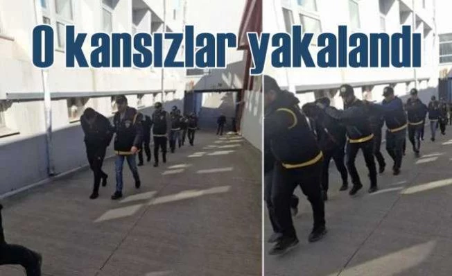 Polis deprem hırsızlarını tek tek yakaladı