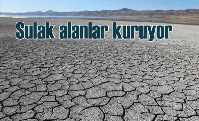 Sulak alanları onarma zamanı