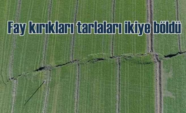 Türkiye'yi sarsan fay krıkları yer yüzeyine çıktı