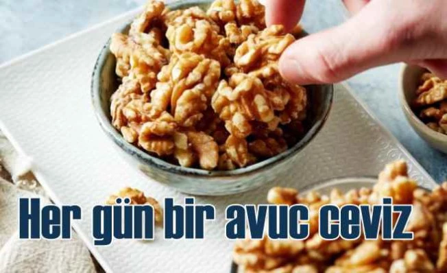 Uzman tavsiyesi | Her gün bir avuç ceviz