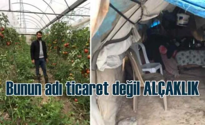 Deprem fırsatçıları üreticinin emeğine çöktü