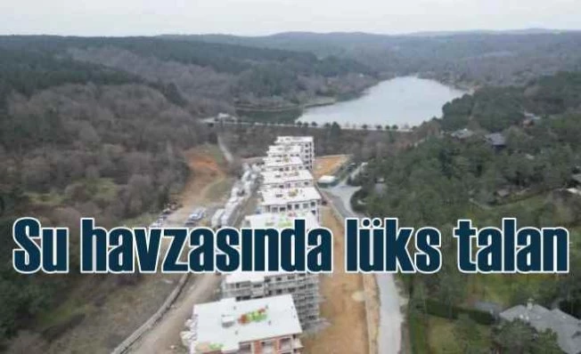 Doğadaki Lüks'ü su havzasına, dera yatağına dikmişler