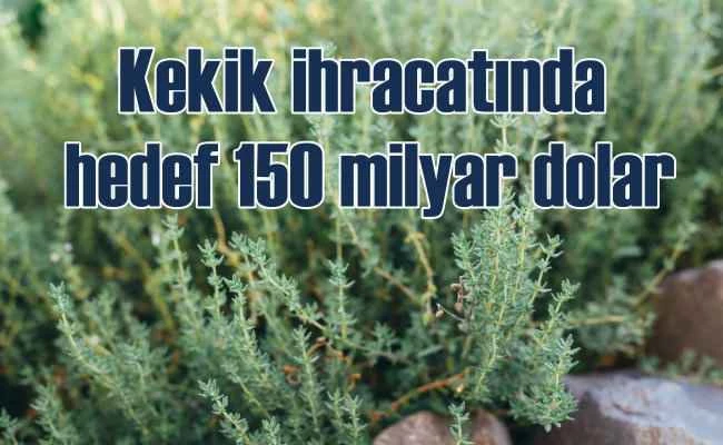 Kekik ihracatında hedef 150 milyon dolar