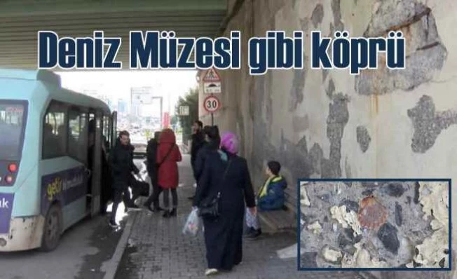 Köprü değil Deniz Müzesi yapmışlar | Kolonları bile düşmüş