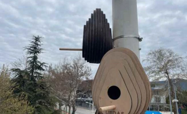 Sokak lambaları, kuşların yuvası oldu