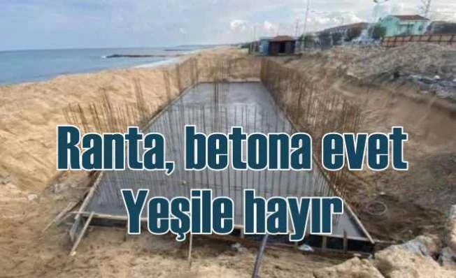 Ranta Betona doymadılar | Endemik bitki alanı beton döktüler