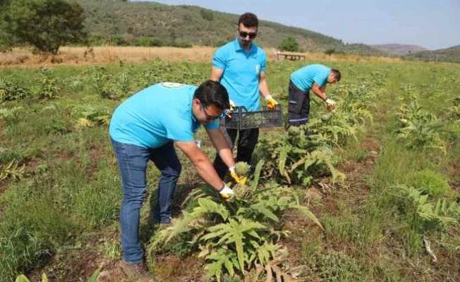 Bodrum Belediyesi, tarımsal kalkınmada yerini aldı