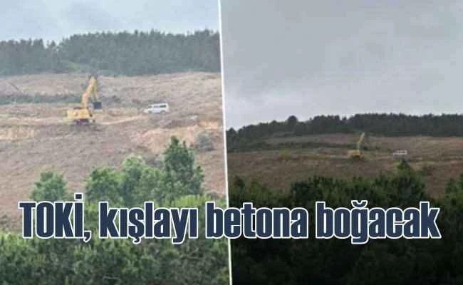 Askeri Kışla'da TOKİ konutları için ağaçlar kesiliyor