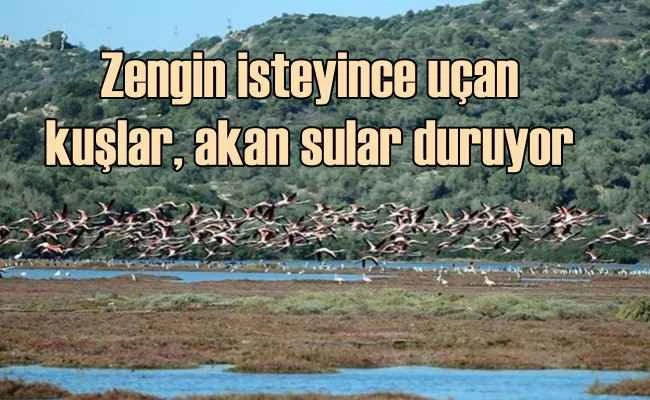 Tuzla Sulak Alanı, zengin yatırımcılara peşkeş çekiliyor