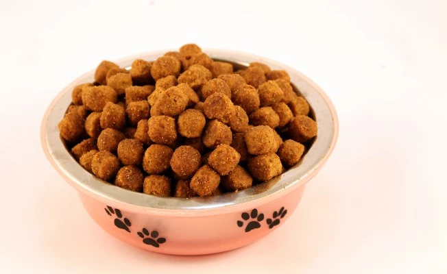EİB | Kedi-köpek maması ihracatında hedef 100 milyon dolar