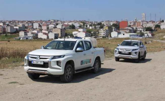 İBB Asya Kaplan sivrisineğine karşı en etkili yöntemi kullanıyor