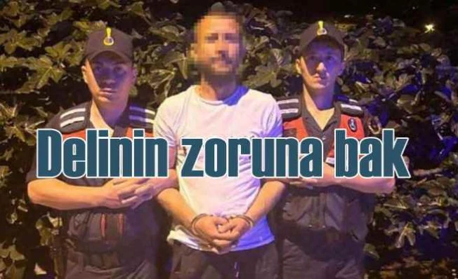 Orman kundakçısı yangını canı istediği için çıkarmış