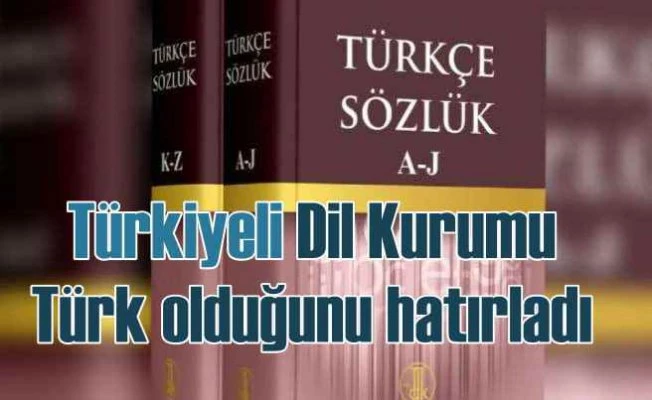 TDK sözlük güncelledi, Türkiyeli'yi ve cinsiyetçi kelimeleri kaldırdı